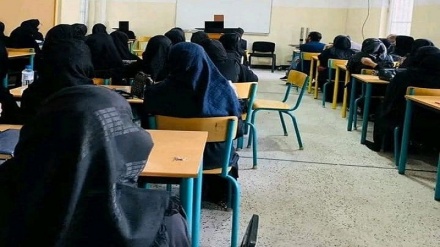 مجوز طالبان به دختران محصل در موسسات طبی برای شرکت در امتحانات پایانی