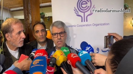 بقایی: تقویت مراودات اعضای اکو از اولویت‌های ایران است