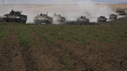 Unglaubliche Zahlen  über die Zerstörung des Agrar- und Viehzuchtsektors in Gaza durch Israelis