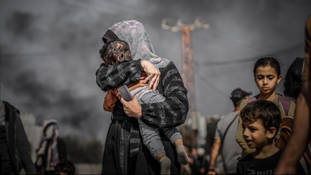 Самые важные новости о войне в Газе