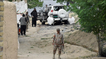 حملات تروریستی در پاکستان/ ۹۲۴ نفر در ۱۰ ماه کشته شدند