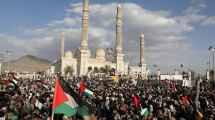 ניו יורק טיימס: ישראל לא תוכל לנצח מול תימן