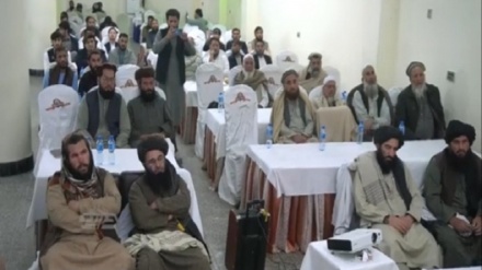 ریاست کار و امور اجتماعی ننگرهار ؛ فراهم شدن فرصت شغلی برای بیش از صدها جوان