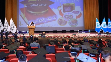 بها دادن به جوانان؛ خواست فارغ التحصیلان دانشگاه‌ها از مسؤولان