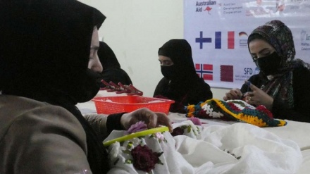 طالبان بار دیگر به مؤسسات داخلی و خارجی درباره کار زنان هشدار داد 