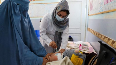 طالبان رسماً تعلیم دختران در موسسات طبی را ممنوع اعلام کرد