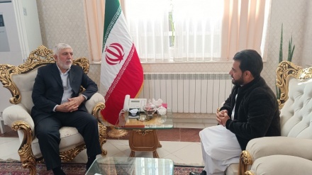 برنامه های ایران برای توسعه اقتصادی غرب افغانستان/ تقویت زیربناهای مواصلاتی در اولویت 