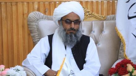 والی طالبان در هرات با سرکنسول ایران دیدار کرد