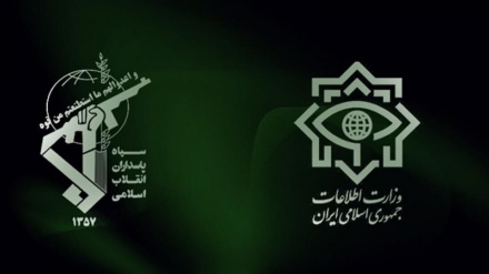 Forcat e inteligjencës të IRGC kanë arrestuar një individ nën akuzën e spiunazhit