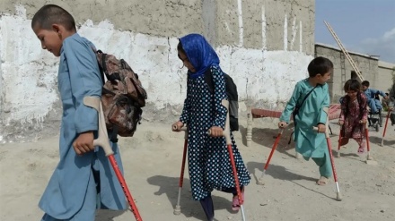 په افغانستان کې یونیم  میلیون  وګړي معلول یا پرکوټ دي   
