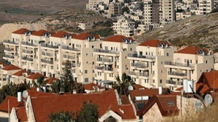 Конфискация сионистами 2400 гектаров земель Западного берега.