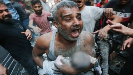 ‘ফিলিস্তিনিদের হত্যা করে লাশগুলো কুকুরের খাদ্য হিসেবে ফেলে রাখা হয়’