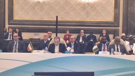عراقچی در اجلاس دی۸: رژیم صهیونیستی و متحدانش باید در قبال اقدامات خود پاسخگو باشند