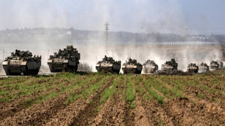 נתונים מדהימים על ההרס שנגרם למגזר החקלאי ברצועת עזה על ידי ישראל