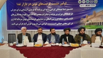 مقام ایرانی ایجاد منطقه آزاد تجاری در مرز ایران و افغانستان را خواستار شد