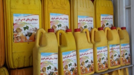 هلمند ولایت د نباتي غوړیو د تولید له اړخه پر ځان بسیا شوی