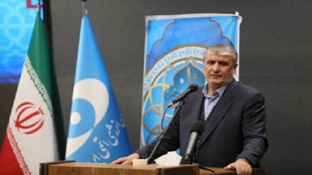 Глава Организации по атомной энергии Ирана: Санкции врагов были нейтрализованы сопротивлением иранского народа