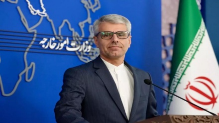 بقایی: به مقاومت غزه در برابر نسل‌کشی رژیم صهیونیستی ادای احترام می‌کنیم