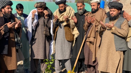 ننګرهارکې کروندګرو ته د کوکنارو بدیل فصل وروپیژندل شو