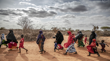 Zaidi ya watu milioni 67 wana uhaba wa chakula Pembe ya Afrika