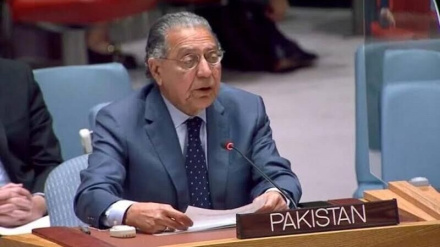 طالبانو د منیر اکرم څرګندونې بې‌اساسه وبللې 