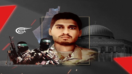 হামাস কমান্ডার মো. দেইফের শাহাদাতের ঘোষণায় প্রতিরোধ শক্তিগুলোর প্রতিক্রিয়া 