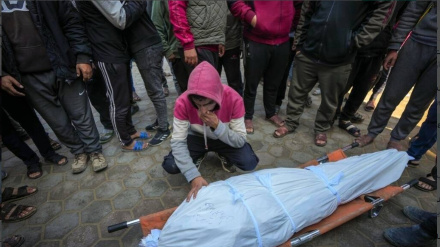 Përgjakja e Palestinezëve në Gaza