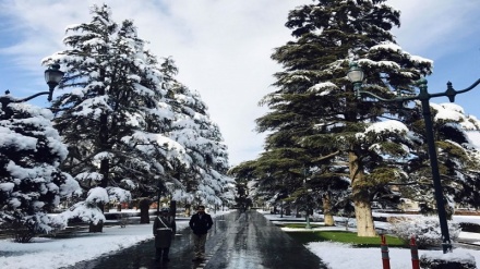 تصاویری از نخستین برف زمستانی کابل