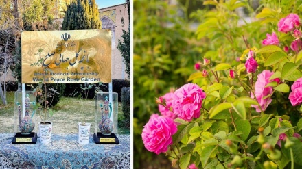 イラン・イスファハーンで世界平和フラワーガーデンが開園