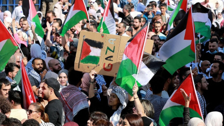 Массовая пропалестинская демонстрация в Париже