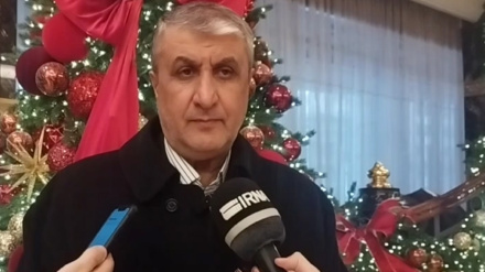 Глава Организации по атомной энергии Ирана: Всеобъемлющий договор открывает новые горизонты для Ирана и России