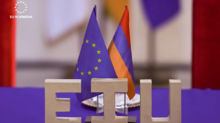Արևմուտքը փորձում է ՀՀ–ի միջոցով ճնշել ՌԴ–ին. Բոշյանը՝ ԵՄ անդամակցության օրինագծի մասին