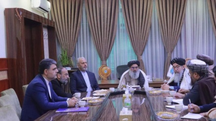 وزارت صحت عامه طالبان از ایران درخواست همکاری کرد