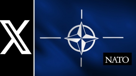Bə Nato vobəstə qruponku tobə Fələstini milləti mığovimət kardə qrupon