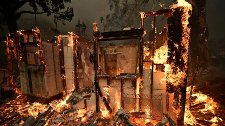 Los Angeles yangını sürüyor: 11 kişi öldü, 10 bini aşkın yapı yandı 