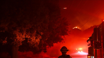 Los Angeles'ta yeni yangın hızla ilerliyor 