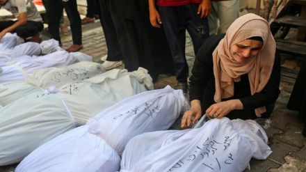 Ғазо сектори геноцидининг сўнгги статистикаси/4-январ/:Шаҳидлар сони- 45717/Яраланганлар сони - 108856/Бедарак йўқолганлар сони - 11000