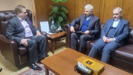  د  افغانستان په چارو کې  د ایران او پاکستان نمایندګانو سره سیمه ایز او نړیوال وروستی بدلونونو وارزل.