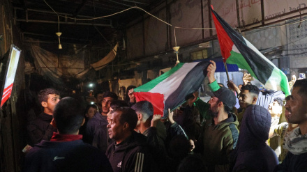 গাজায় যুদ্ধবিরতির আনন্দ উদযাপনের মধ্যেই ইসরাইলি হামলায় ৩০ ফিলিস্তিনি শহীদ