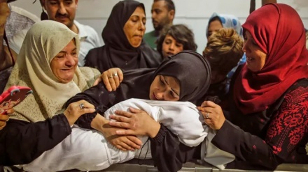 Plagosen 7 palestinezë në lindje të Ramallahut si pasojë e një sulmi të kolonëve sionistë