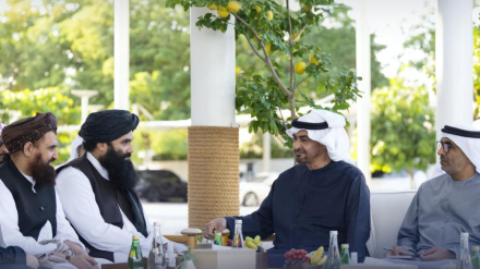 د اماراتو له مشر سره د افغانستان د دوو جګپوړو چارواکو کتنه