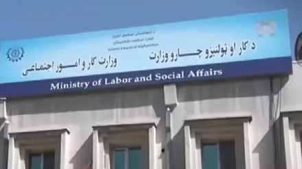 صدور بیش از 30 هزار جواز شغلی در وزارت کار طالبان