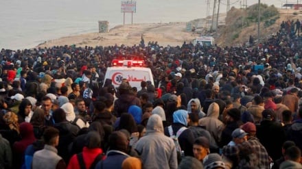 Палестинские беженцы- жертвы войны начинают возвращаться в северную часть сектора Газа, в то время как сионистское военное наступление на Дженин продолжается