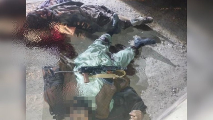 د افغانستان طالبانو  په هرات کې دوه کسان د غلا په تور ووژل