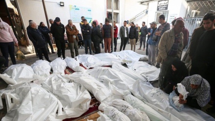 Gaza:le nouveau crime du régime sioniste contre les Palestiniens à Rafah