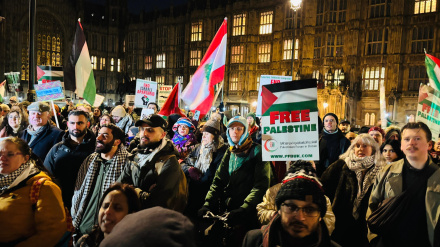 Массовая демонстрация перед Европейским парламентом за освобождение палестинского врача