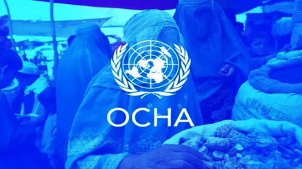 سازمان ملل: طالبان در یک ماه بیش از ۳۰ کارمند نهادهای امدادرسان را بازداشت کرد