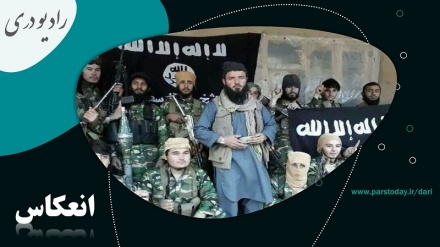 واکنش وزارت داخله طالبان به حملات اخیر داعش 