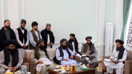 عبدالغني برادر په تاشکند کې له افغان پانګوالو سره کتنه وکړه 