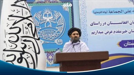 افغانستان کښې د ملي یووالي په ساتنې د شیعیانو ټینګار